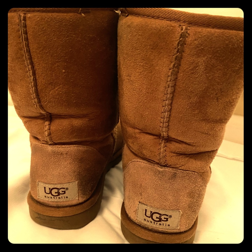 UGG Short Classic Chestnut